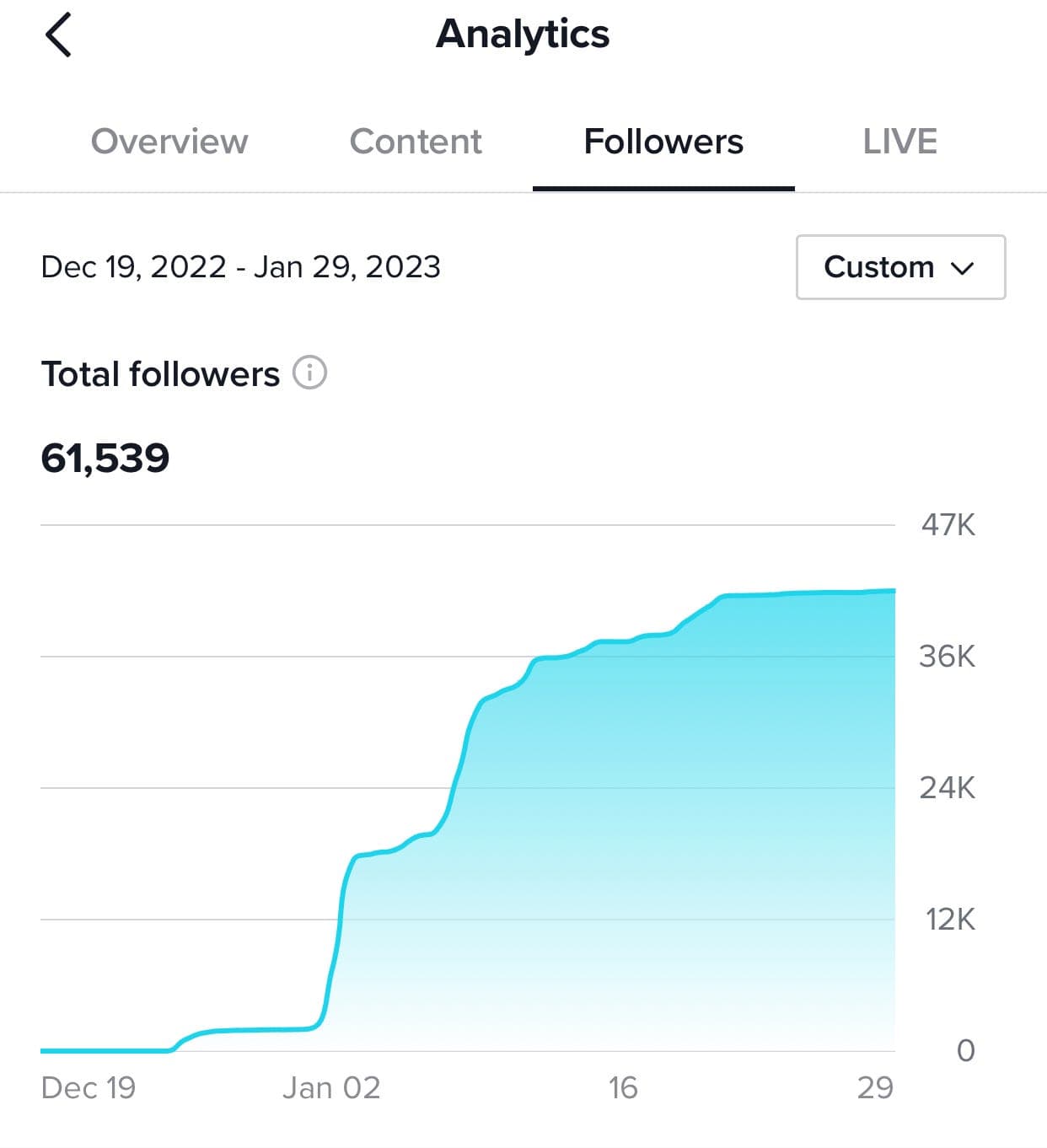 TikTok Promotion for Business