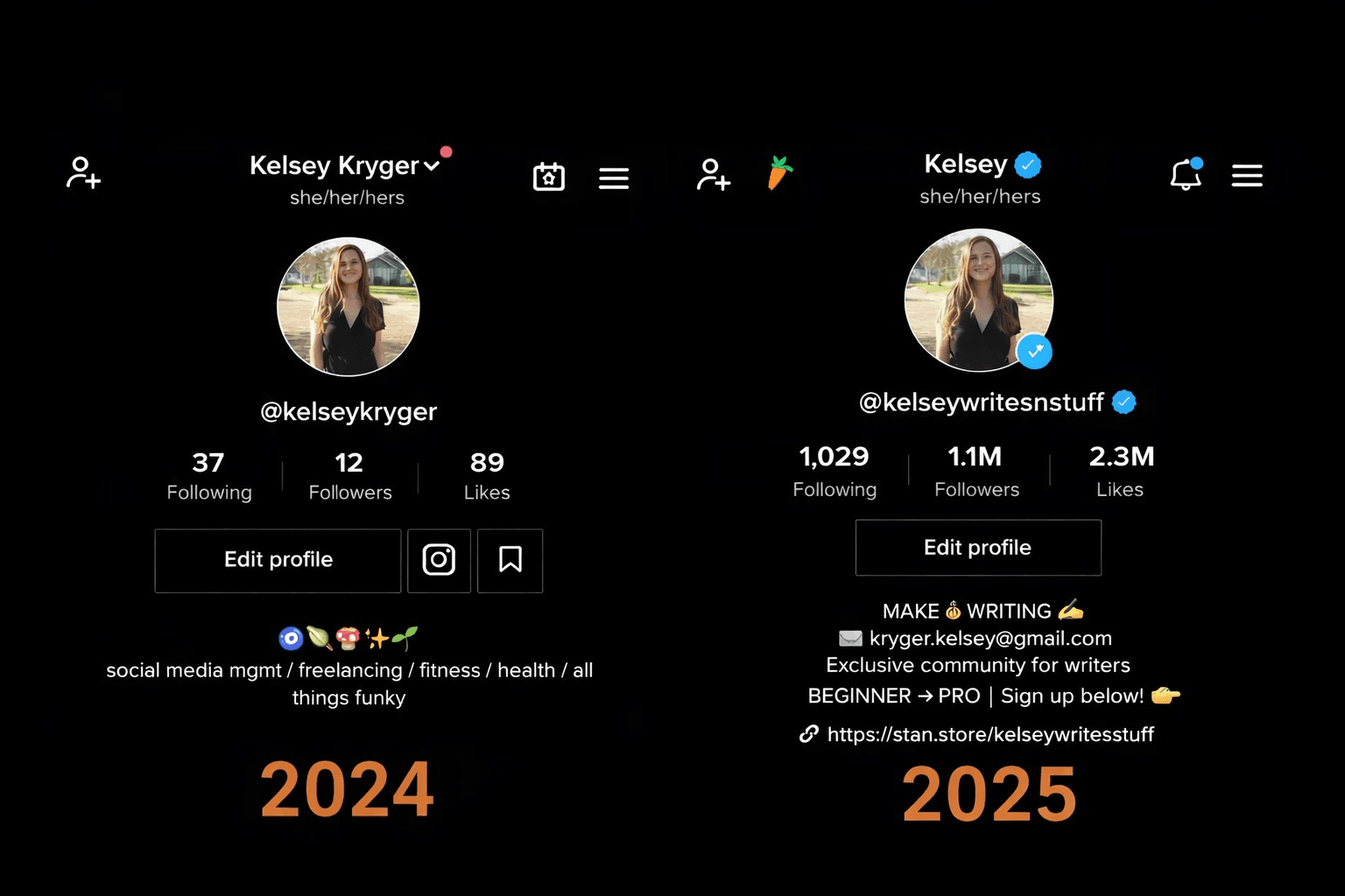 Top TikTok Growth Service Alternative