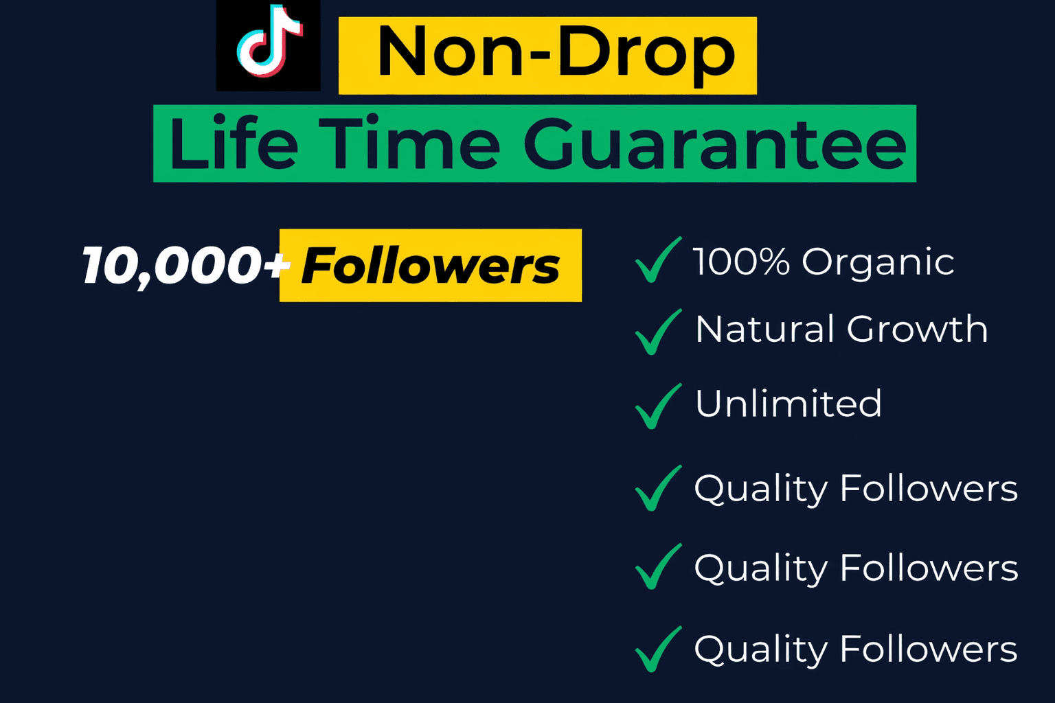Non-Drop TikTok Followers