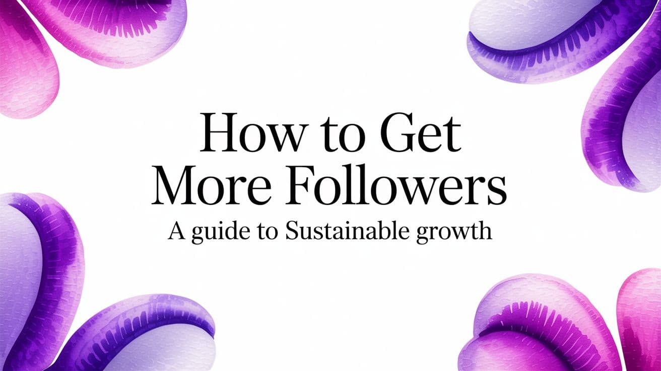 How to Get More Followers A Guide to Sustainable Growth